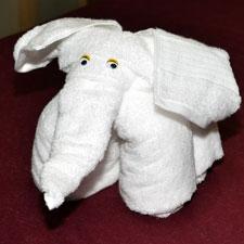 Image for event: Teen Towel-gami Contest