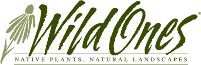 logo of Wild Ones. Green text.